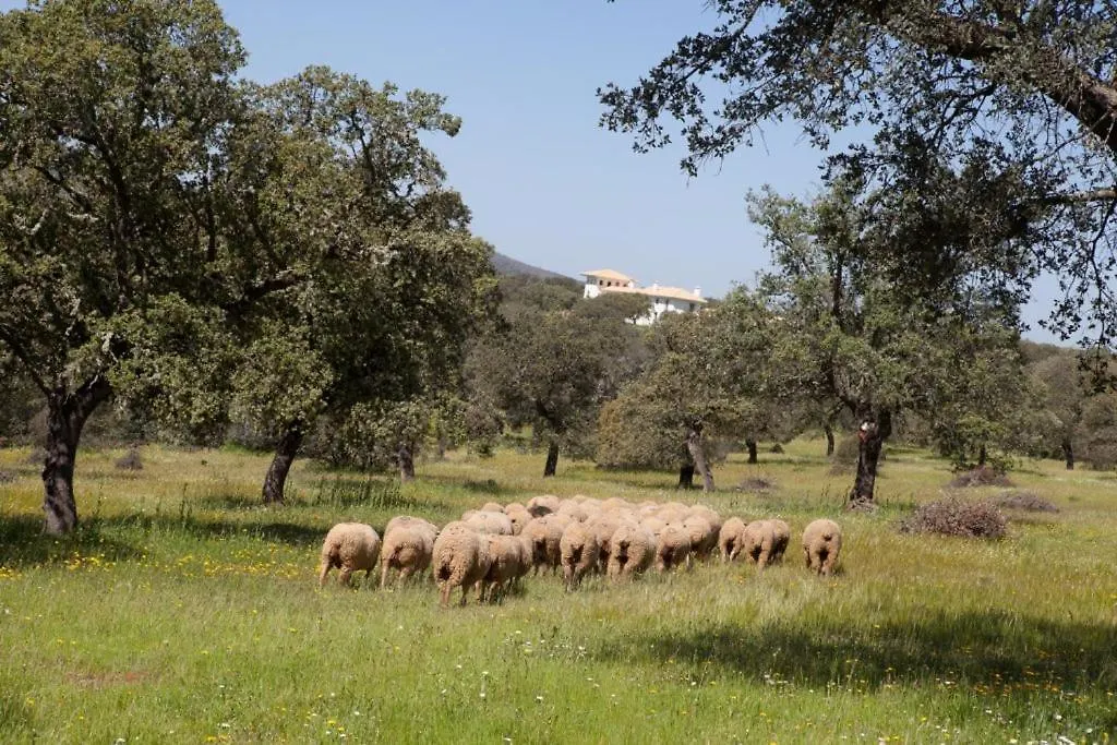 Cortijo Los Lomillos - La Encina レタマル